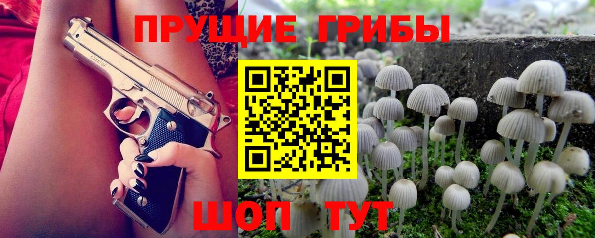 Галлюциногенные грибы GOLDEN TEACHER Ростов Великий